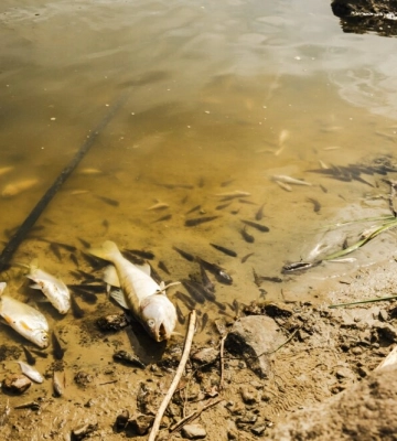 Вода у Сеймі на Сумщині очищується