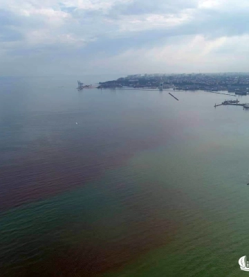 Одеситам порекомендували не купатися в морі: в чому причина