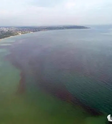 Море навколо Одеси стало червоно-буро-зеленим – біолог пояснив це явище