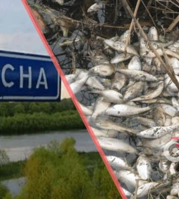 Забрудення у річці Десна: чи можна пити воду з-під кранів у Дніпрі