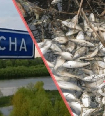Чи можна пити воду з-під кранів у Дніпрі: забруднення води у Десні