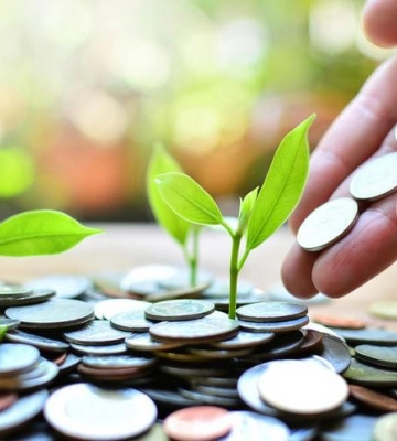 З початку 2024 року до місцевих бюджетів Закарпаття сплачено понад 5,7 млрд грн податків