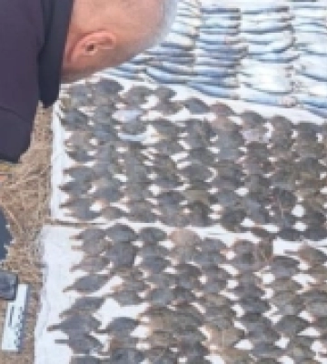 У нацпарку «Тузлівські лимани» викрили двох браконьєрів