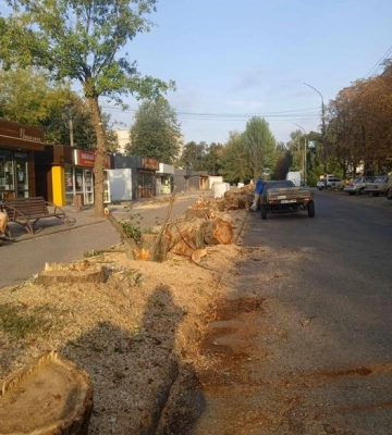 Ще одну вулицю в Смілі залишили з пенками замість дерев (ФОТО)
