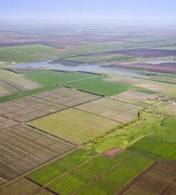 В Україні зросла ціна на землю: в яких регіонах найдорожче?