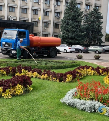 Одесу прикрасять п’ять тисяч кущів хризантем 