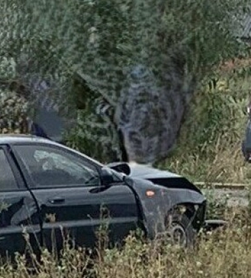 У Турці нетверезий водій збив літню жінку