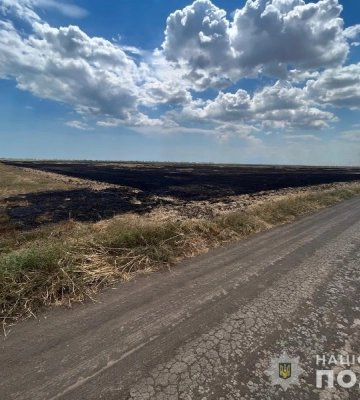 На Одещині чоловік умисно підпалив землі сільськогосподарського призначення