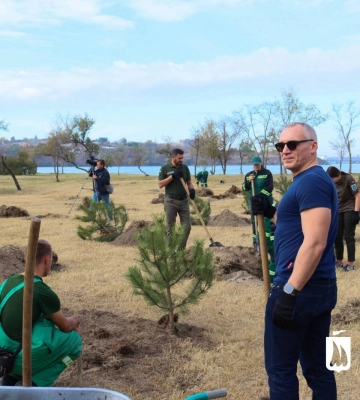У Миколаєві планують висадити 310 нових дерев: їх закуплять за мільйон гривень