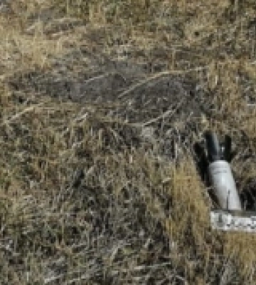 На Миколаївщині вибухотехніки вилучили касетні боєприпаси: будуть знищувати
