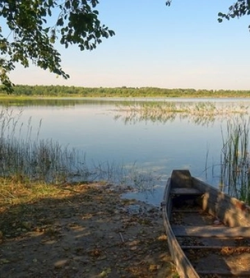 Багато птахів і риби: недалеко від Світязя є невелике озеро з теплою водою 