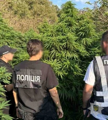 Кіберполіція Львівщини знешкодила злочинну організацію наркоділків, які щомісяця збували канабісу на ₴2 млн.