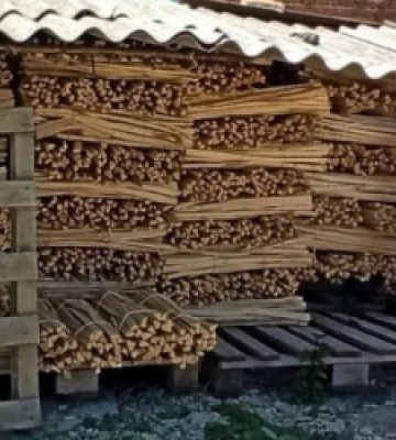 Контрабанда лісоматеріалів на 150 тис. грн: справа щодо мешканця Львівщини уже в суді