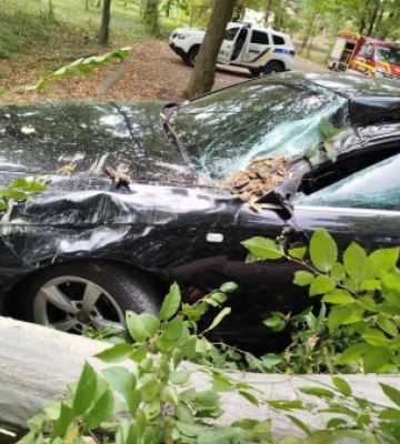 У Виноградові через буревій, дві автівки деблокували з бід завалених дерев