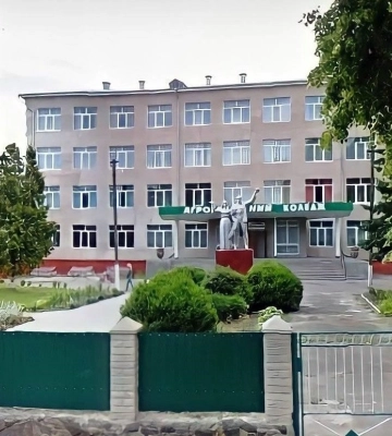У коледжі на Волині двоє п'яних чоловіків побили неповнолітнього: як їх покарали