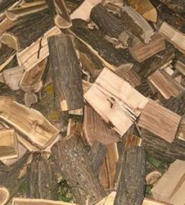 Незаконна порубка дерев із чималими збитками – на Полтавщині судитимуть учасників організованої групи
