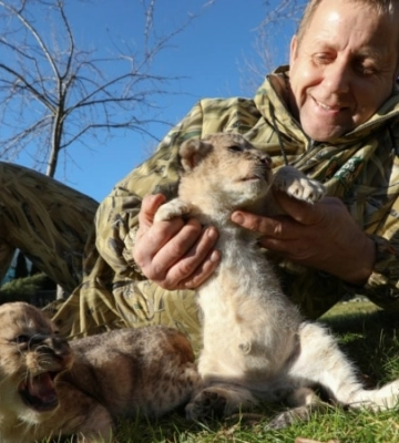 «Хотим русского льва». Владелец крымского парка «Тайган» Зубков продал переданного ему из Донецка льва в Китай
