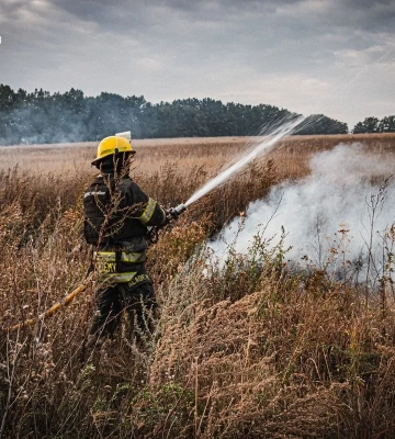 Гасіння понад 70 пожеж на відкритих територіях та в природних екосистемах наразі триває на Харківщині - ДСНС