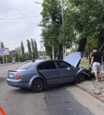 В Николаеве ветер валит деревья. Фото