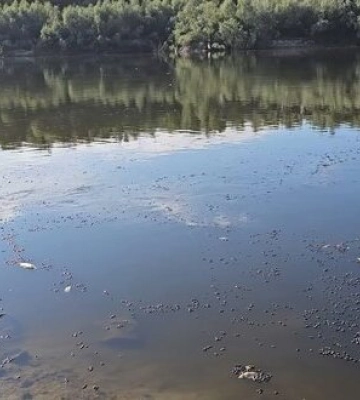 Забруднення річки Десна дісталося Київщини, - Держводагенство