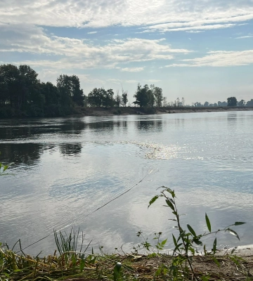 Забруднення річки Десна дісталося Київщини