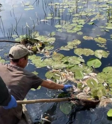 Якість води у місцях водозаборів Києва та Броварів відповідає нормі - Міндовкілля