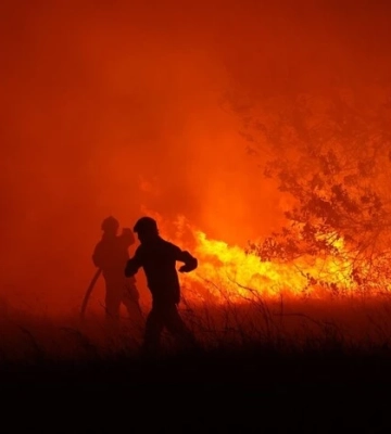 На Полтавщині триває ліквідація масштабної лісової пожежі вже понад 7 годин
