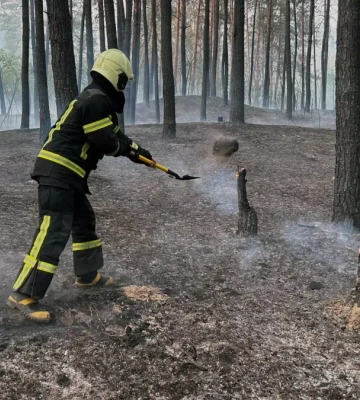 В Черкасской области во время почти 8-часовой тревоги уничтожили 9 вражеских дронов