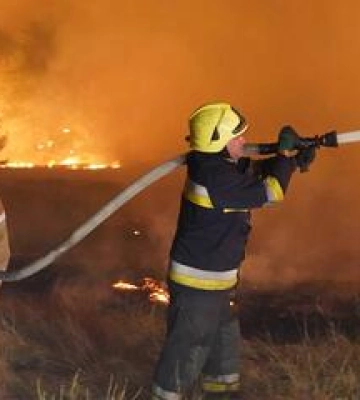На Полтавщині гасять більше 100 гектарів лісу