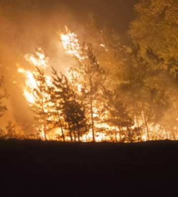 На Донеччині через російські обстріли другу добу вирує масштабна лісова пожежа