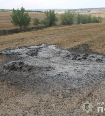 Трьох жителів Бессарабії викрили у знищенні вогнем земель сільськогосподарського призначення
