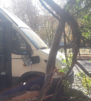 Навпроти Полтавської ОВА дерево впало на мікроавтобус
