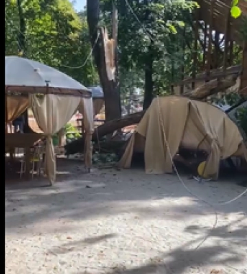 Навпроти Полтавської ОВА дерево впало на мікроавтобус