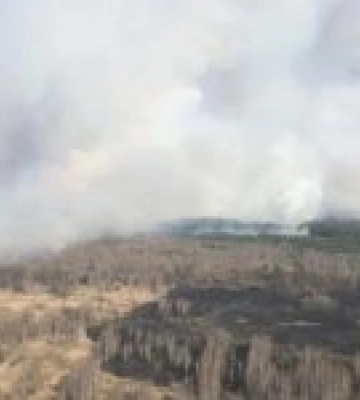 На Київщині локалізували пожежу на відкритій території, площею 421 га: що з радіаційним фоном. Фото і відео