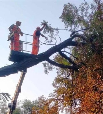 У Дніпрі через шквальний вітер комунальники працюють у посиленому режимі