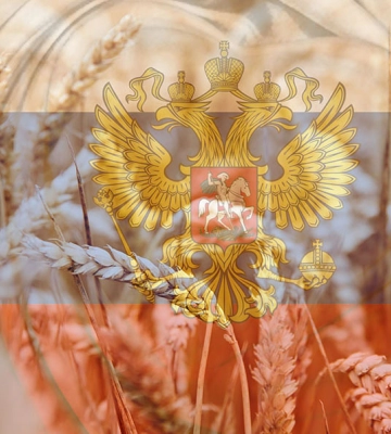 Стало відомо, скільки грошей отримала РФ від продажу краденого українського зерна