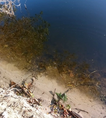 На Сумщині знову спостерігається погіршення якості води в Сеймі