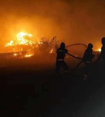 Ліквідація пожежі в лісі на Полтавщині триває: пошкоджені приватні будівлі