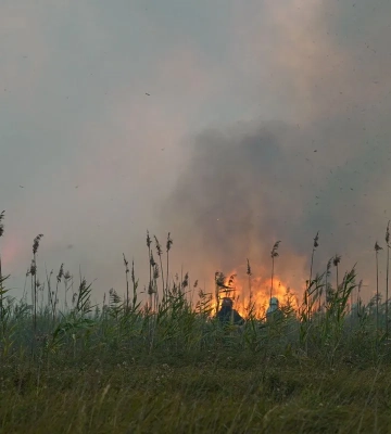 Масштабна лісова пожежа на Полтавщині: загорілися 5 будинків, евакуйовано людей