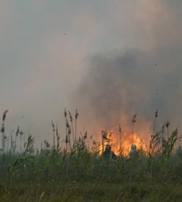 На Полтавщині лісова пожежа дісталася ще двох сіл