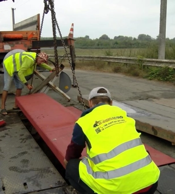 У Рівному з корінням вирвало велике дерево