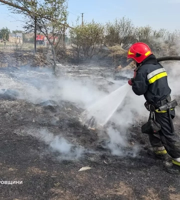 16 гектарів лісу вигоріло у селі Єлизаветівка Дніпровського району, що відомо про масштабну пожежу