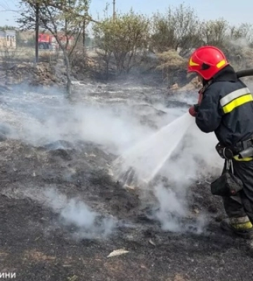 На Дніпропетровщині вогонь знищив понад 280 гектарів екосистем