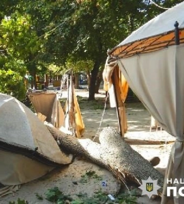 У полтавському парку «Перемога» на 6-річну дитину впало дерево