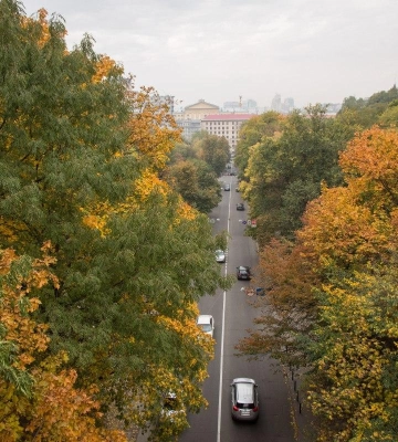 У трьох районах столиці може погіршитися якість повітря: названо причину