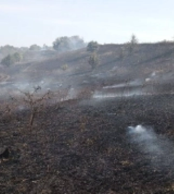 У селі на Кіровоградщині горіла суха трава на площі більше двох гектарів