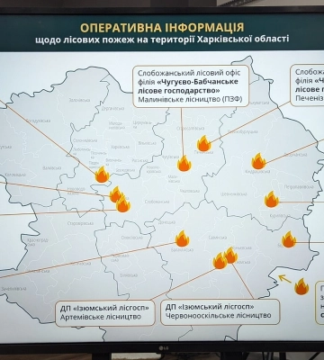 Два человека пострадали из-за пожаров в экосистемах на Харьковщине — ГСЧС