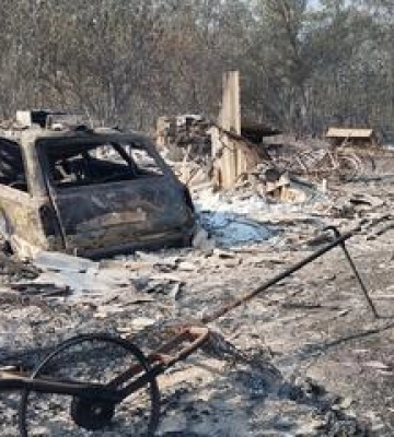 Під Полтавою через лісову пожежу згоріло близько 20 будинків