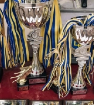 «Трейдерс», «Агромат» і «Фортуна» – найкращі команди одноденного «Кубку Волині АДФ»