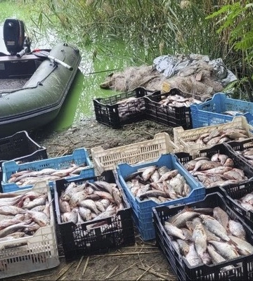 На Кіровоградщині браконьєр незаконно виловив риби на суму понад ₴2 млн.